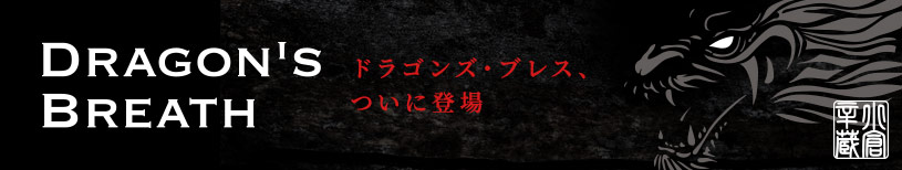 ドラゴンズブレス、ついに登場