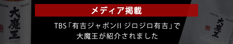 メディア情報