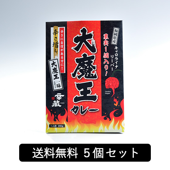 大魔王カレー5個セット
